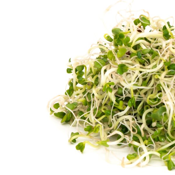 Broccoli - Image 3