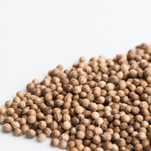 Coriander