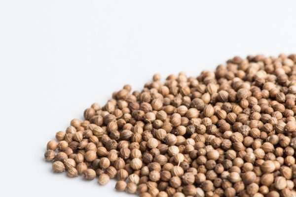 Coriander