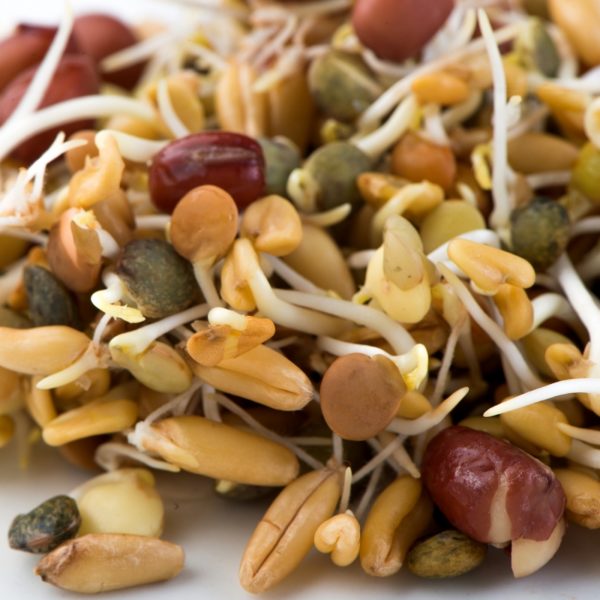 Ancient Eastern Blend - Image 2