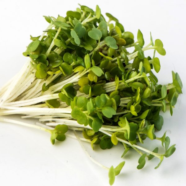 Arugula - Image 2