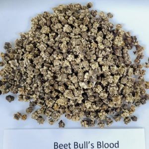 Beet, Bull's Blood