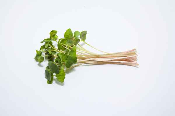 Buckwheat - Image 2
