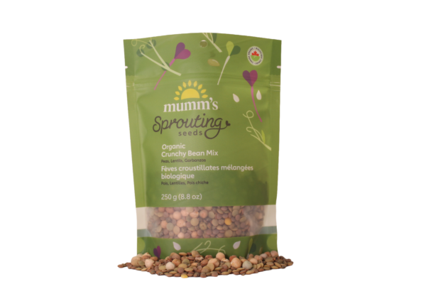 Crunchy Bean Mix - Image 3