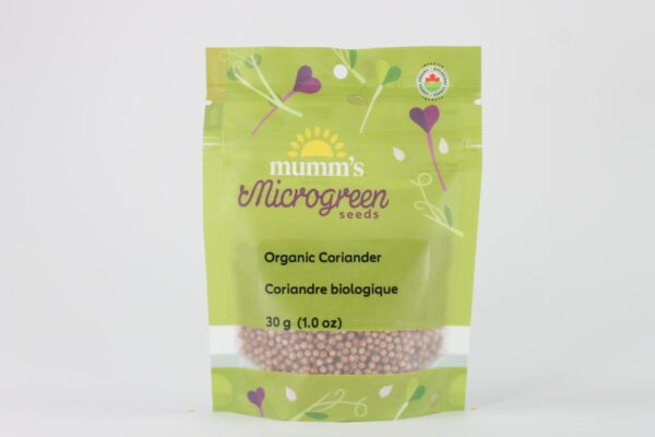 Coriander - Image 3