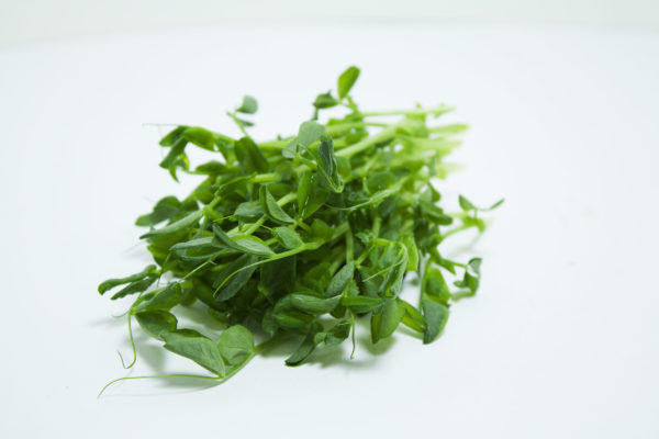 Peas, Dwarf Grey Sugar - Image 2