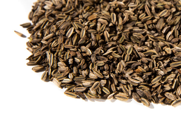 Fennel