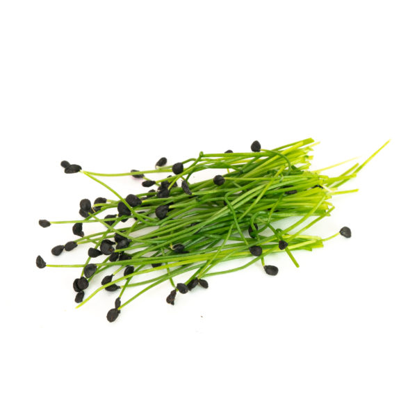 Garlic Chives - Image 2