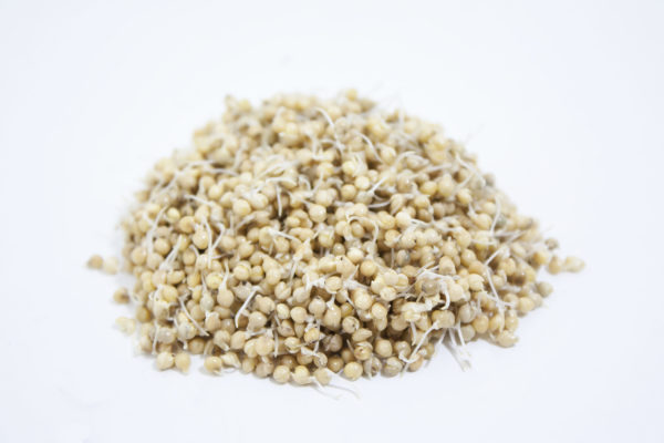 Quinoa - Image 2