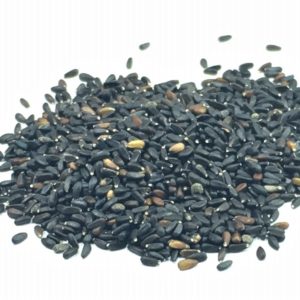 Lemon Balm