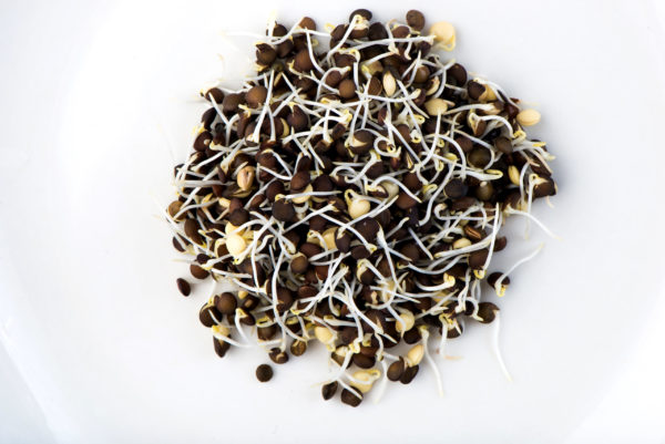 Lentils, Black - Image 2