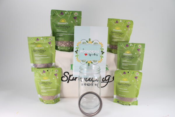 Gift Bag Large