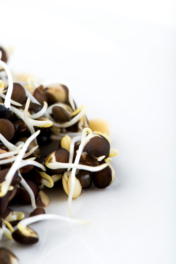 Lentils, Black - Image 3