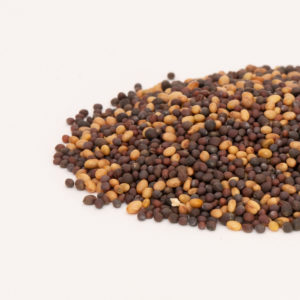 Mellow Microgreen Mix