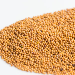 Mustard, Oriental