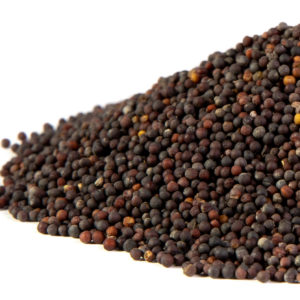 Mustard, Tat Soi