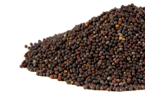 Mustard, Tat Soi