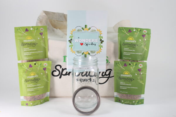 Gift Bag Med