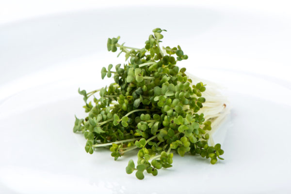 Mustard, Oriental - Image 2