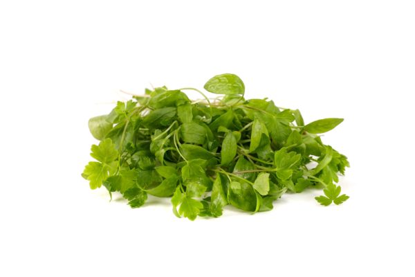 Parsley - Image 2