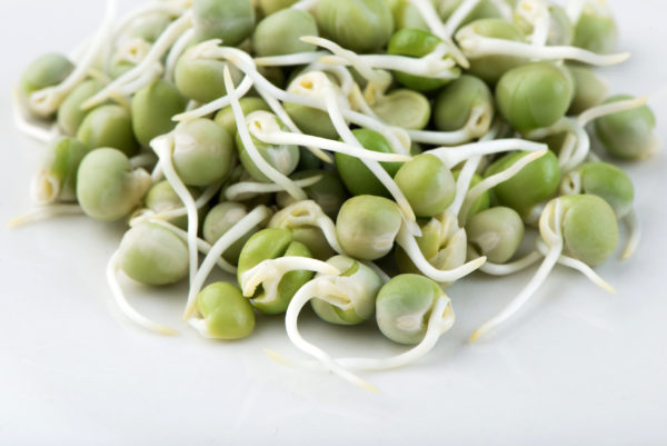 Peas, Green - Image 2