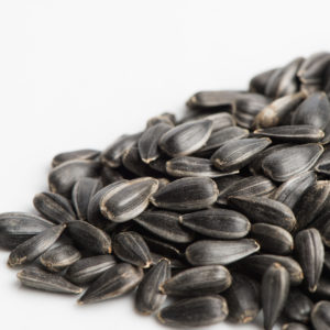 Sunflower, Black Oilseed