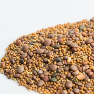 Spicy Lentil Crunch