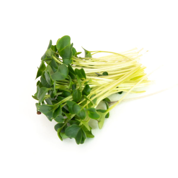 Kale, Green - Image 3