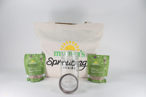 Gift Bag Small