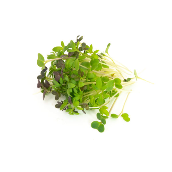 Spicy Microgreen Blend - Image 2