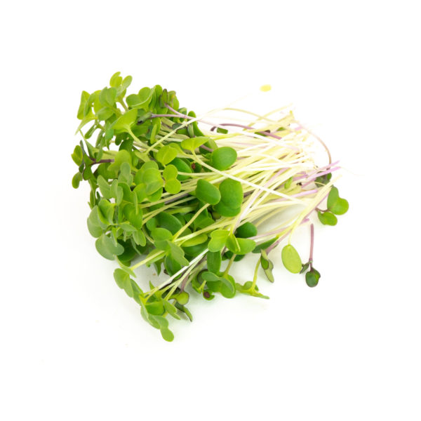 Mellow Microgreen Mix - Image 2