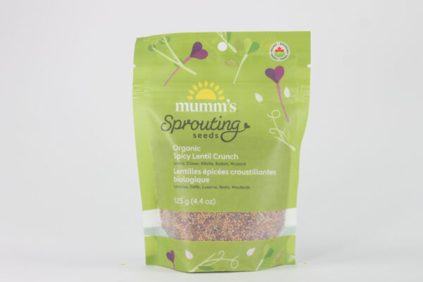Spicy Lentil Crunch - Image 3