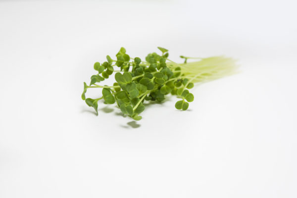 Spigarello - Image 3