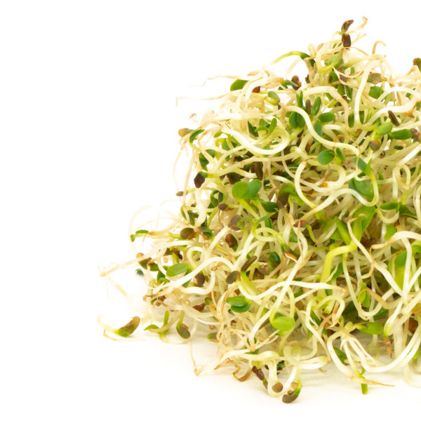 Spring Salad Mix - Image 2