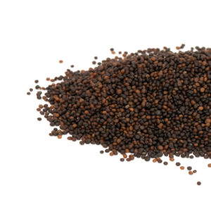 Thyme