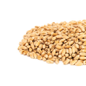 Wheat, Hard Red Winter