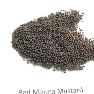 Mustard, Red Mizuna