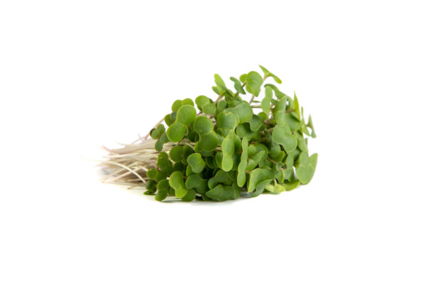 Kale, Red - Image 2