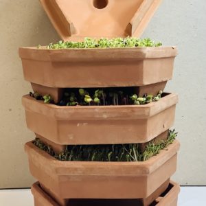 Geo Terracotta 4-Tier Sprouting Tower