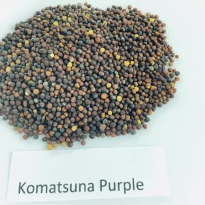 Komatsuna, Purple