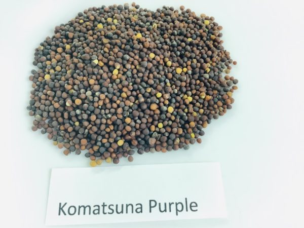 Komatsuna, Purple